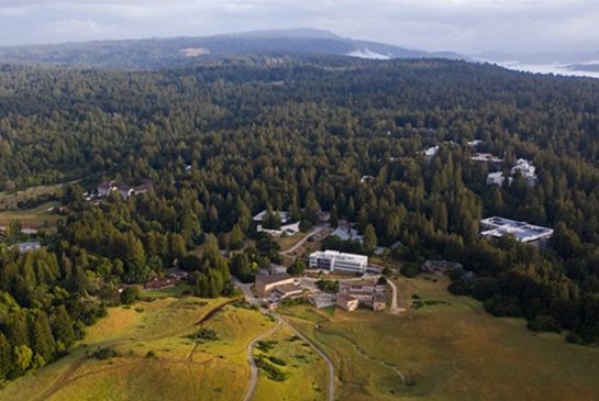 Aerial view of campus buildings in forested area.